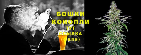 СК Вяземский