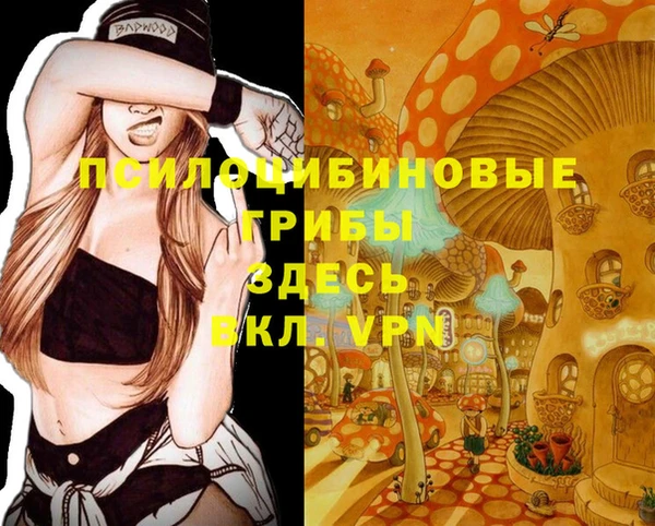 СК Вяземский